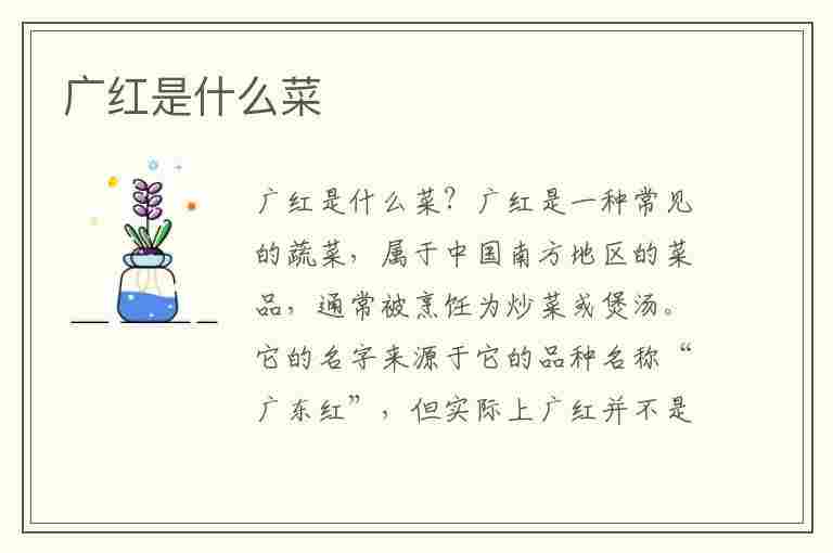 广红是什么菜(广红是什么菜图片)